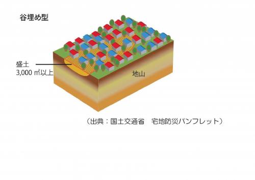谷埋め型
