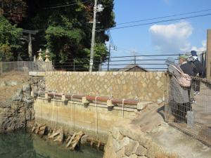 スマイルエイジング3