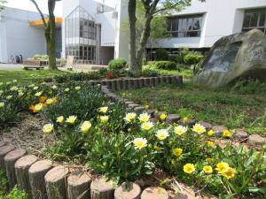 春の花壇4