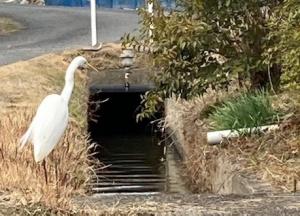 寝太郎用水路
