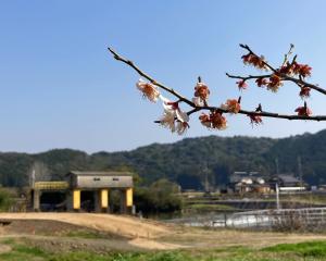 寝太郎堰1