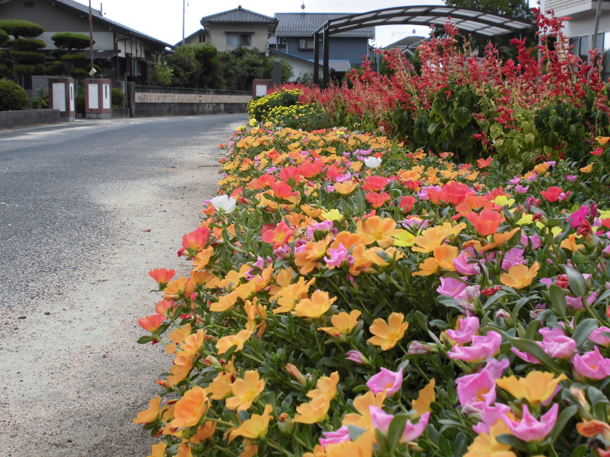 厚陽地域交流センターのタイトル画像